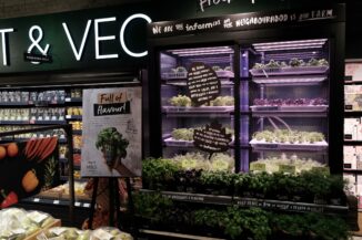 Klimakammer für Gemüse- und Kräuterzucht in Supermarkt