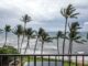 Windgepeitschte Wellen und Palmen an Meeresküste