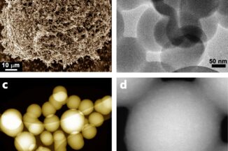 Mikroskopaufnahmen der Kohlenstoffkügelchen
