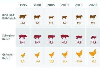 Grafik: Fleischkonsum in Deutschland