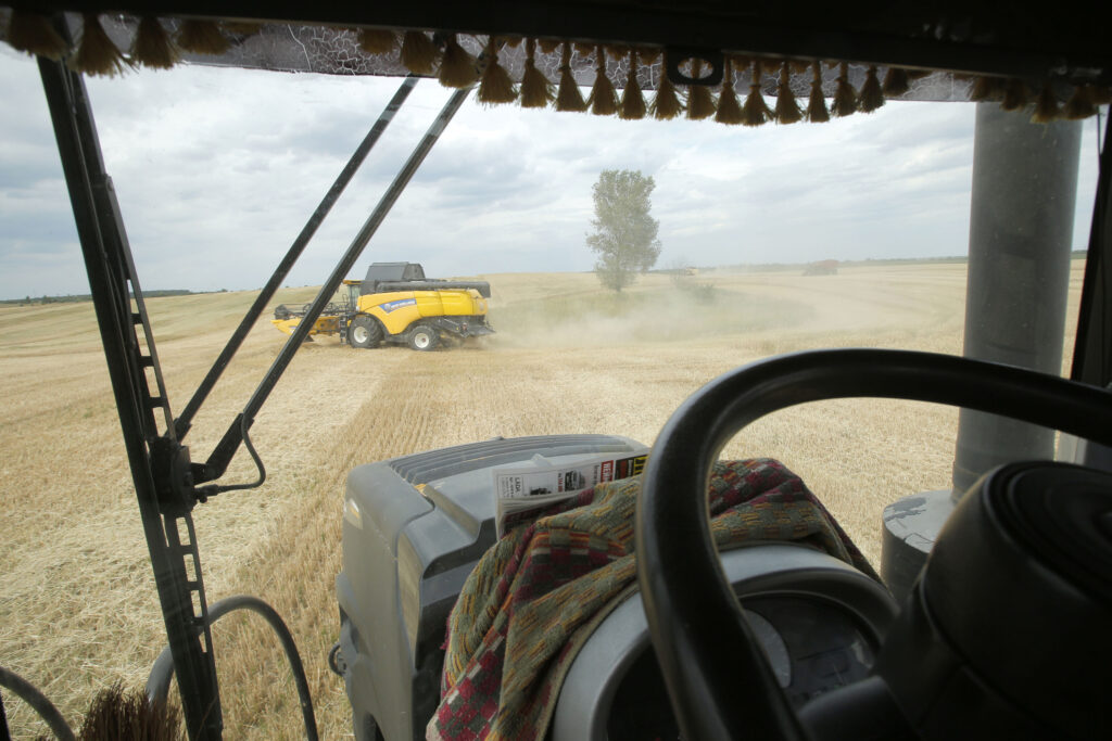 Mähdrescher ernten Weizen auf ukrainischen Feldern - Nahrungsmittel könnten global knapp werden