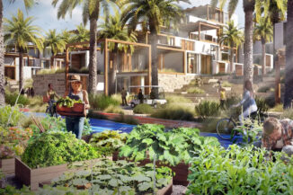 Gemeinschaftsgärten versorgen die Null-Emissions-Stadt mit frischem Obst und Gemüse