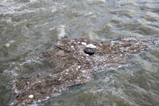 Verschmutztes Gewässer: Grüne Geldanlagen gegen die Umeltzerstörung