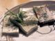 Tofu-Schnitten als Beispiel für pflanzliche Lebensmittel