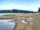Zeichen der Klimakrise - Niedrigwasser im Rhein