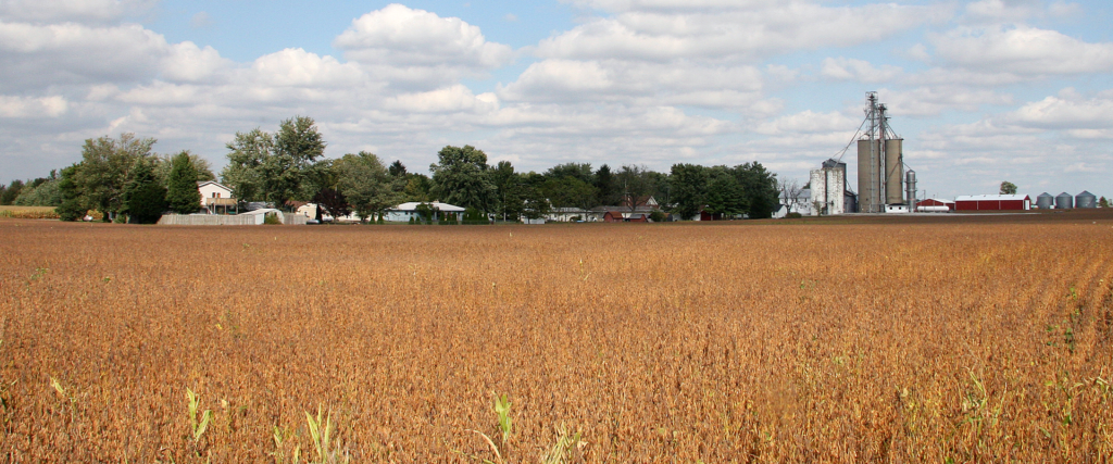 Ein Feld mit Sojabohnen in Indiana kurz vor der Ernte Die heißen Sommer des mittelern Westens begünstigen den Anbau 
(Foto: Huw Williams/Huwmanbeing)