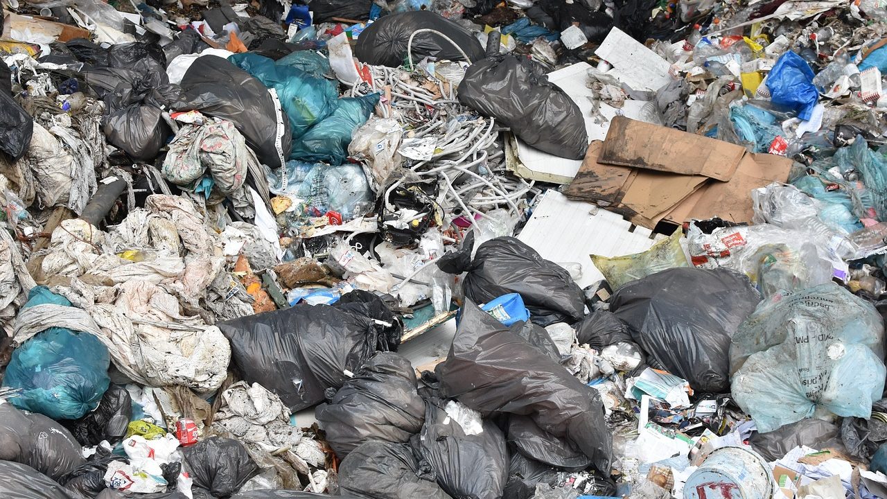 Abfall Zu schade, um wegzuwerfen (Ben Kerckx/Pixabay)