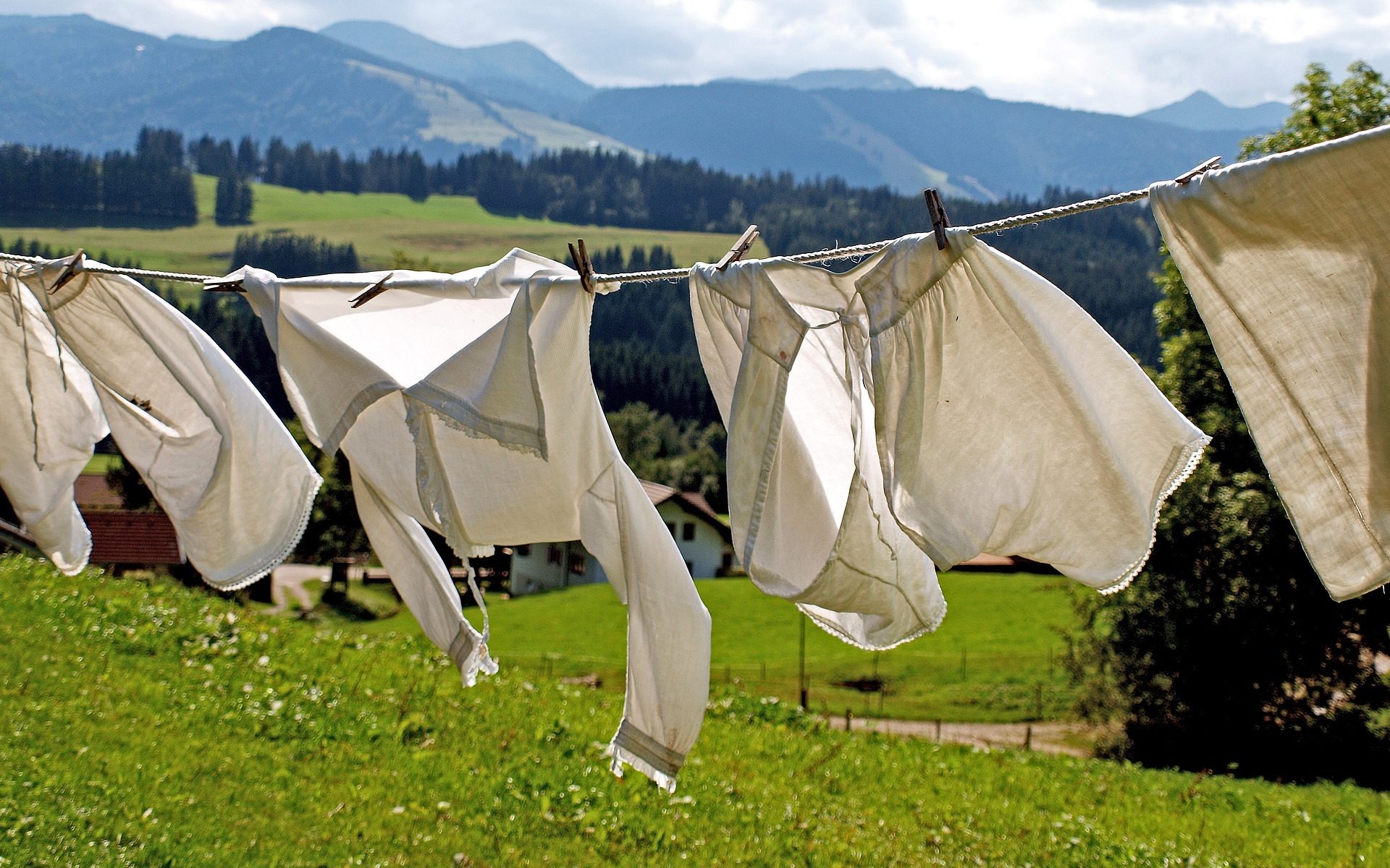 Wäsche Waschmaschine bald nur noch mit Filter erlaubt? (Willi Heidelbach/Pixabay)