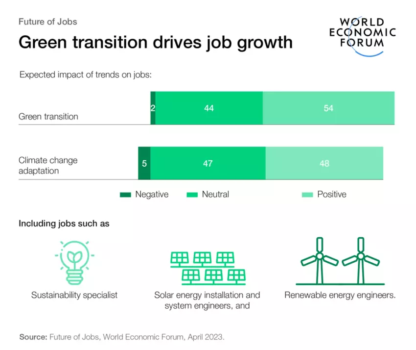 Die Grafik zeigt, dass mit der Anpassung an den Klimawandel und dem Wandel zu einer grünen Industrie ein globaler Stellenzuwachs erwartet wird