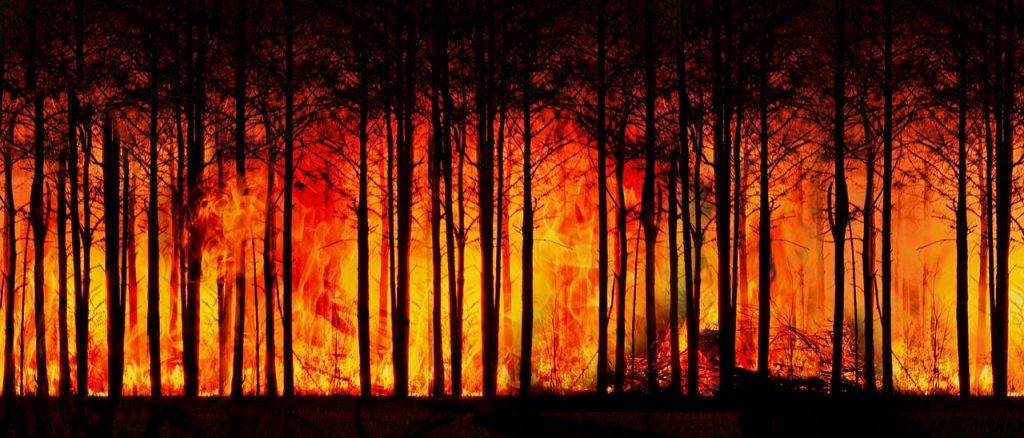 Forst in Flammen Rauch der Waldbrände zieht über den Atlantik (Gerd Altmann/Pixabay)