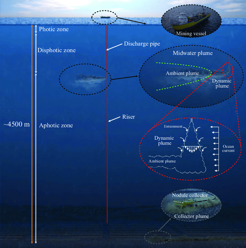 Der geplante Abbau von Manganknollen in der Tiefsee - hier eine schematische Darstellung - birgt enorme Gefahren für die Ökosysteme am Meeresboden