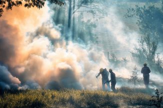 Verheerende Waldbrände sind eine Folge der derzeitigen andauernden Heißzeit