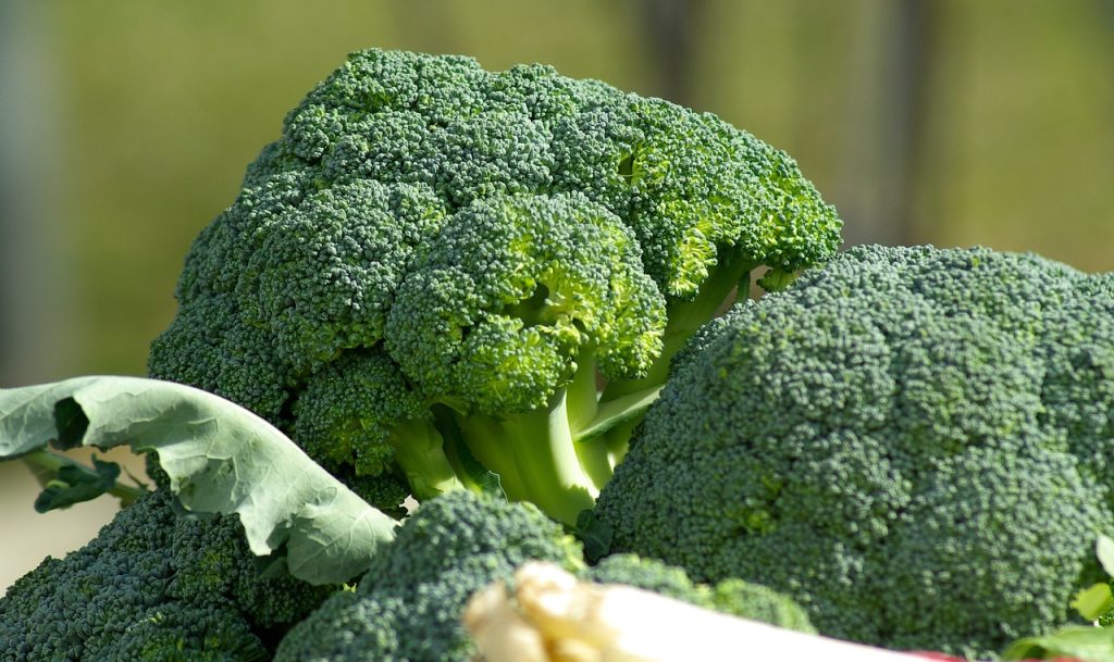 Brokkoli steht auf der Topliste von Lebensmitteln, die das Immunsystem stärken