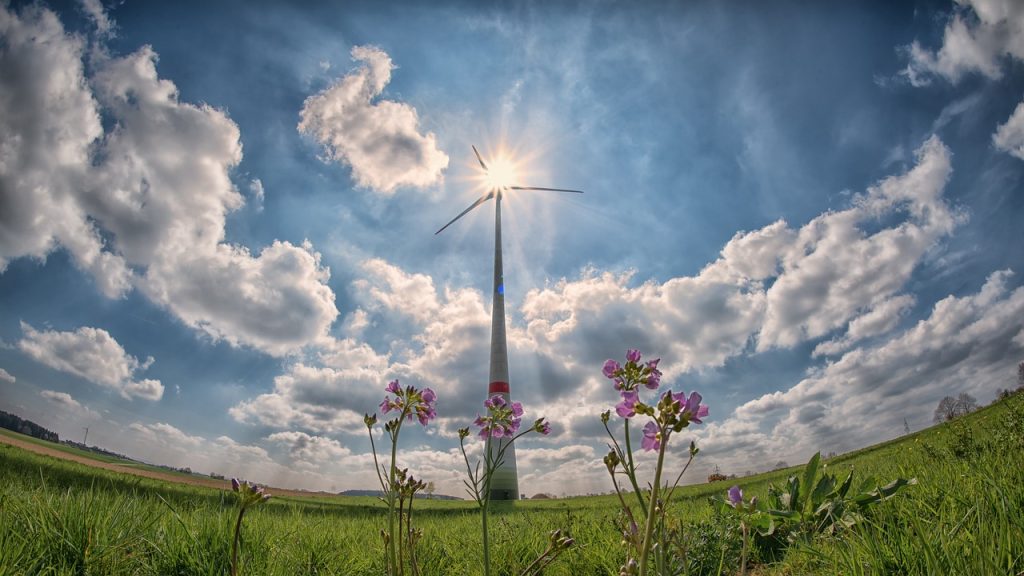 Windrad auf einem Feld: Erstmals stammen mehr als 50 Prozent des Stroms von Erneuerbaren wie Wind und Sonne
